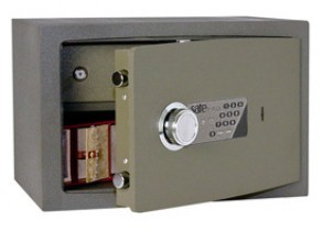 Сэйфтроникс / Safetronics NTR 24MEs
